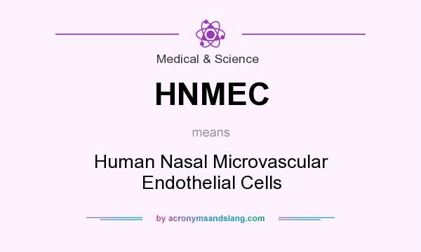 What does HNMEC mean? It stands for Human Nasal Microvascular Endothelial Cells