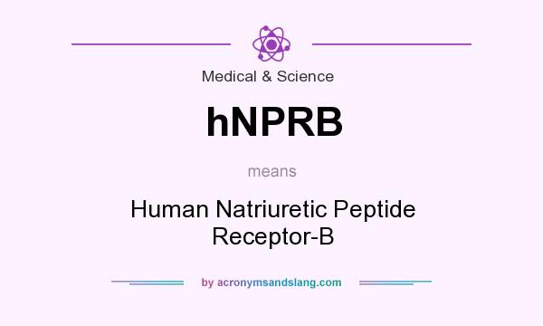 What does hNPRB mean? It stands for Human Natriuretic Peptide Receptor-B