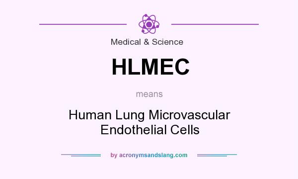 What does HLMEC mean? It stands for Human Lung Microvascular Endothelial Cells