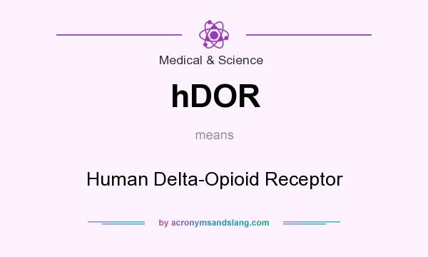 What does hDOR mean? It stands for Human Delta-Opioid Receptor