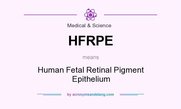 What does HFRPE mean? It stands for Human Fetal Retinal Pigment Epithelium