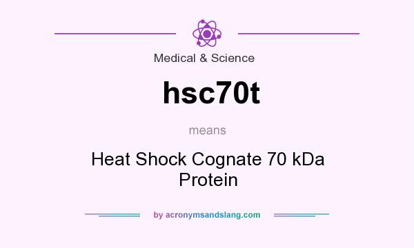 What does hsc70t mean? It stands for Heat Shock Cognate 70 kDa Protein