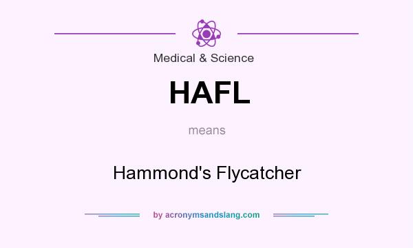 What does HAFL mean? It stands for Hammond`s Flycatcher