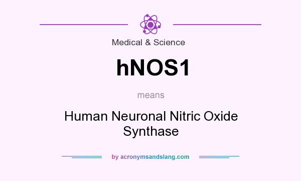 What does hNOS1 mean? It stands for Human Neuronal Nitric Oxide Synthase