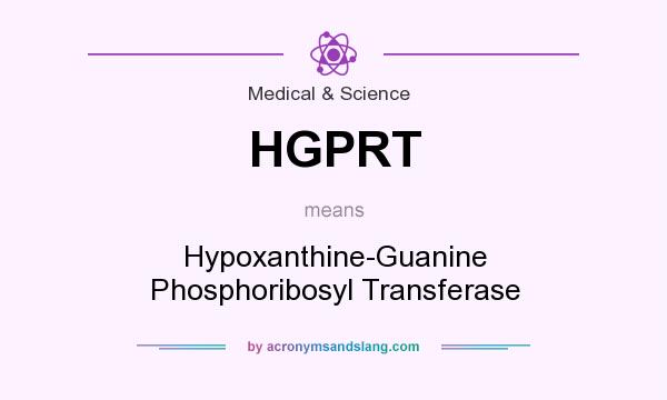 What does HGPRT mean? It stands for Hypoxanthine-Guanine Phosphoribosyl Transferase