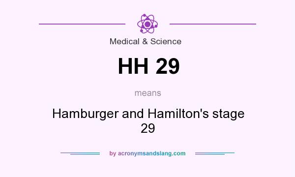 What does HH 29 mean? It stands for Hamburger and Hamilton`s stage 29