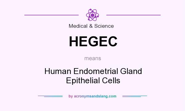 What does HEGEC mean? It stands for Human Endometrial Gland Epithelial Cells