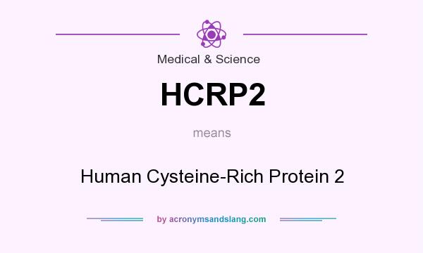 What does HCRP2 mean? It stands for Human Cysteine-Rich Protein 2