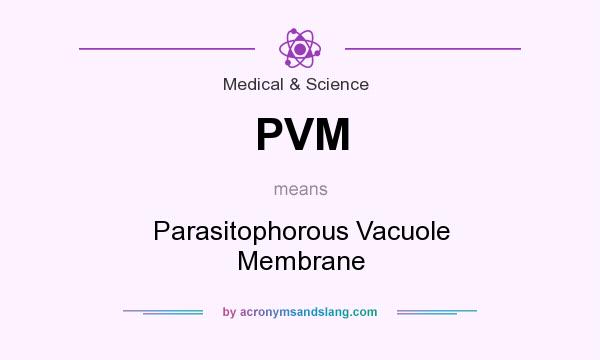 What does PVM mean? It stands for Parasitophorous Vacuole Membrane