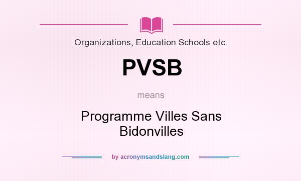 What does PVSB mean? It stands for Programme Villes Sans Bidonvilles