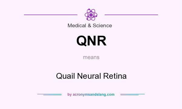 What does QNR mean? It stands for Quail Neural Retina