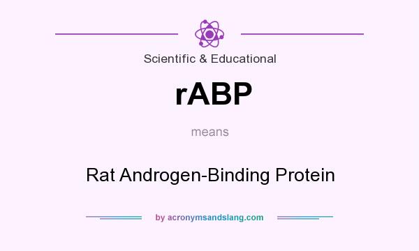 What does rABP mean? It stands for Rat Androgen-Binding Protein