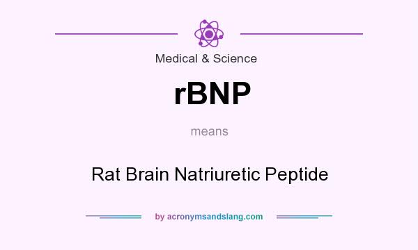 What does rBNP mean? It stands for Rat Brain Natriuretic Peptide