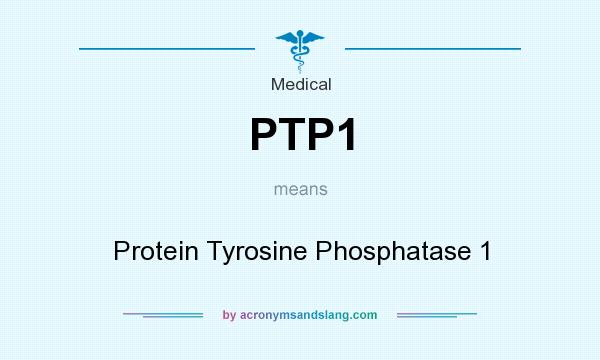 What does PTP1 mean? It stands for Protein Tyrosine Phosphatase 1