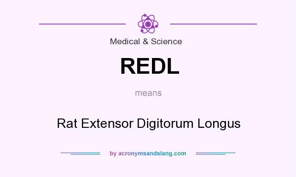 What does REDL mean? It stands for Rat Extensor Digitorum Longus