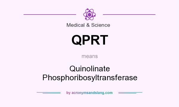 What does QPRT mean? It stands for Quinolinate Phosphoribosyltransferase