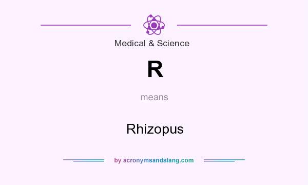 What does R mean? It stands for Rhizopus