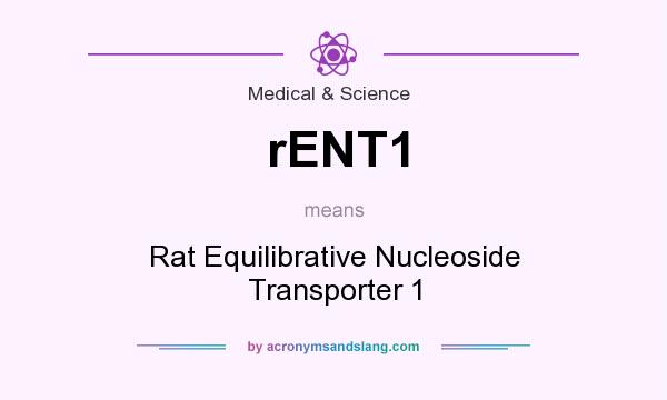 What does rENT1 mean? It stands for Rat Equilibrative Nucleoside Transporter 1
