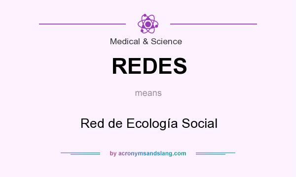 What does REDES mean? It stands for Red de Ecología Social
