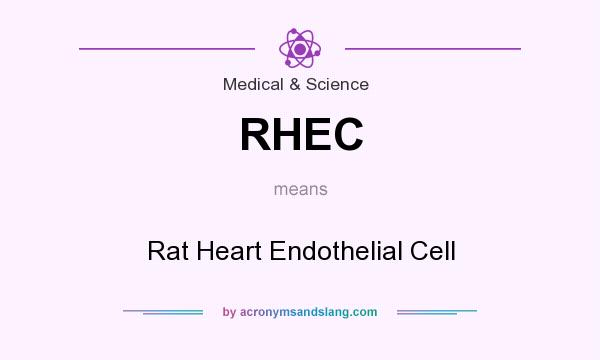 What does RHEC mean? It stands for Rat Heart Endothelial Cell