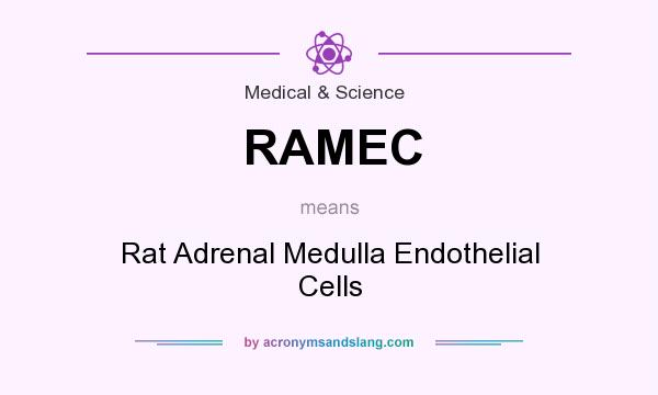 What does RAMEC mean? It stands for Rat Adrenal Medulla Endothelial Cells
