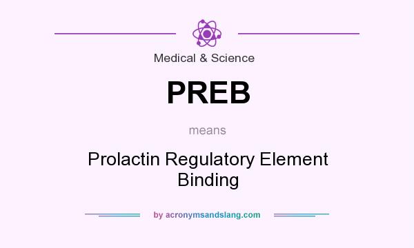 What does PREB mean? It stands for Prolactin Regulatory Element Binding