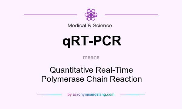 What does qRT-PCR mean? It stands for Quantitative Real-Time Polymerase Chain Reaction