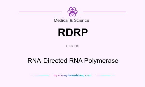 What does RDRP mean? It stands for RNA-Directed RNA Polymerase