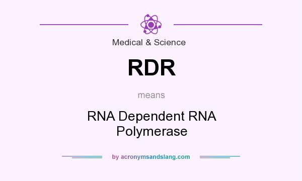 What does RDR mean? It stands for RNA Dependent RNA Polymerase