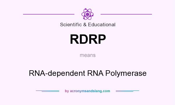 What does RDRP mean? It stands for RNA-dependent RNA Polymerase