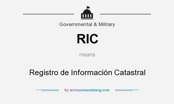 What does RIC mean? It stands for Registro de Información Catastral