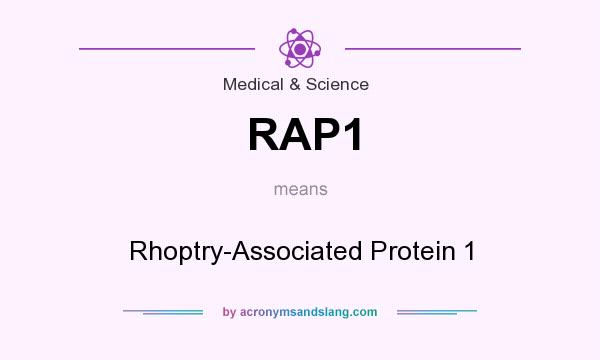 What does RAP1 mean? It stands for Rhoptry-Associated Protein 1