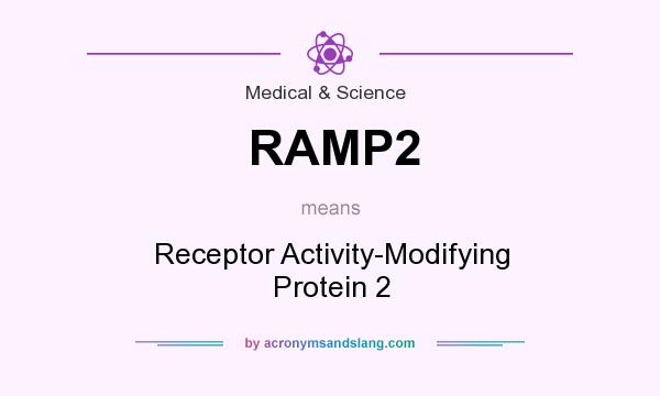 What does RAMP2 mean? It stands for Receptor Activity-Modifying Protein 2