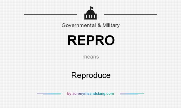 What does REPRO mean? It stands for Reproduce