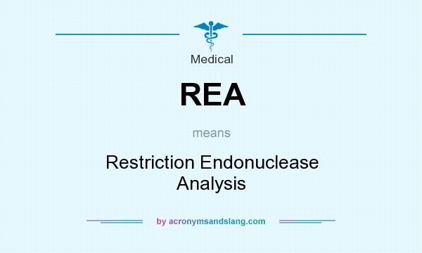 What does REA mean? It stands for Restriction Endonuclease Analysis