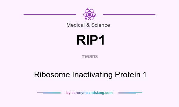 What does RIP1 mean? It stands for Ribosome Inactivating Protein 1