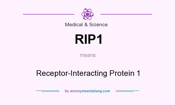 What does RIP1 mean? It stands for Receptor-Interacting Protein 1