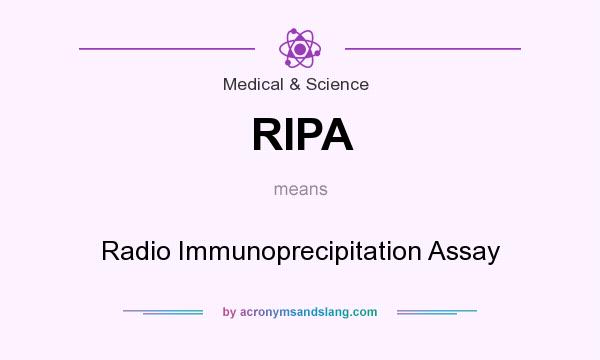 What does RIPA mean? It stands for Radio Immunoprecipitation Assay