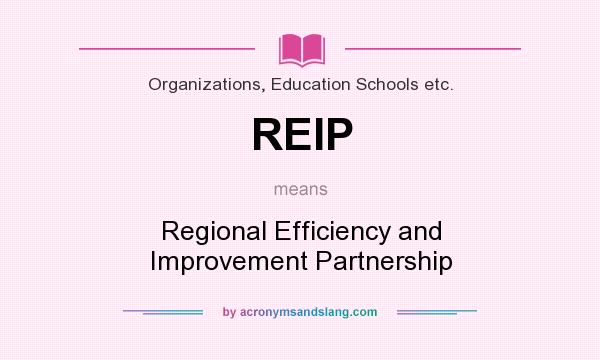 What does REIP mean? It stands for Regional Efficiency and Improvement Partnership