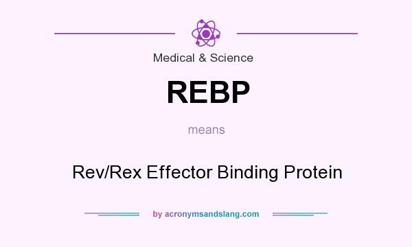 What does REBP mean? It stands for Rev/Rex Effector Binding Protein