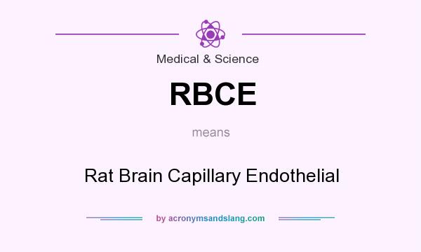 What does RBCE mean? It stands for Rat Brain Capillary Endothelial