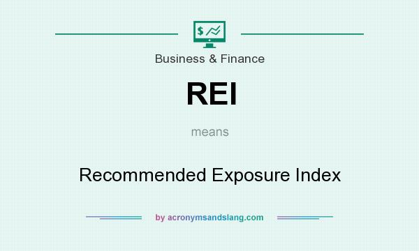 What does REI mean? It stands for Recommended Exposure Index