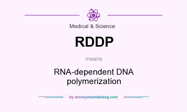What does RDDP mean? It stands for RNA-dependent DNA polymerization