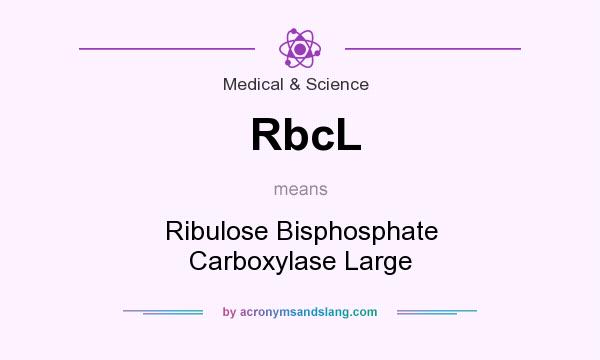 What does RbcL mean? It stands for Ribulose Bisphosphate Carboxylase Large