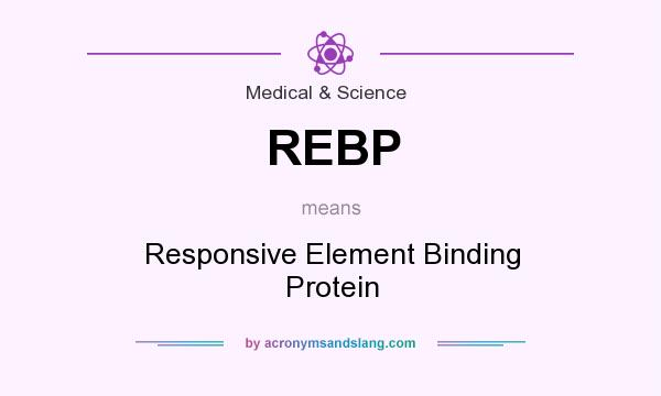 What does REBP mean? It stands for Responsive Element Binding Protein