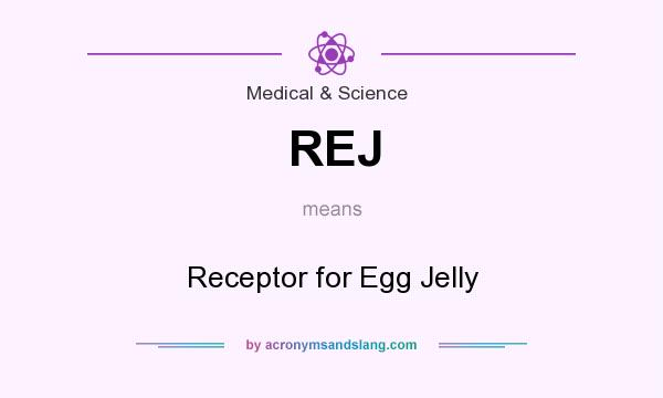 What does REJ mean? It stands for Receptor for Egg Jelly