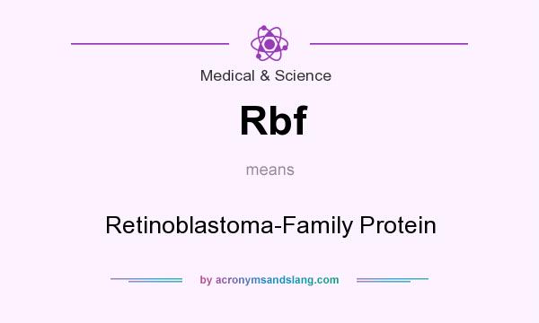 What does Rbf mean? It stands for Retinoblastoma-Family Protein