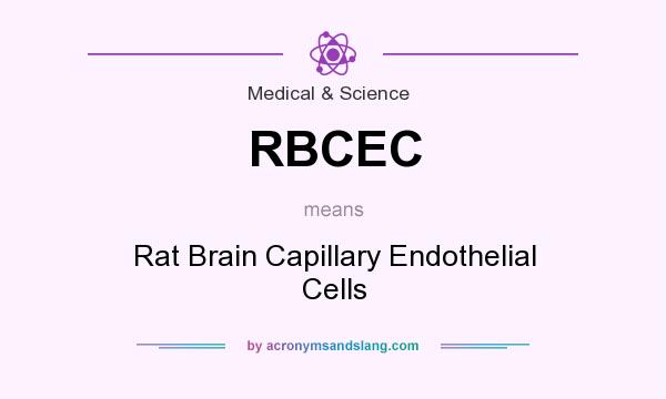 What does RBCEC mean? It stands for Rat Brain Capillary Endothelial Cells