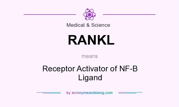 What does RANKL mean? It stands for Receptor Activator of NF-B Ligand