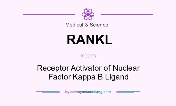 What does RANKL mean? It stands for Receptor Activator of Nuclear Factor Kappa B Ligand
